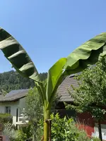 C2B12224-2BD7-4DFB-AE01-D8C4E05ACD1F.webp