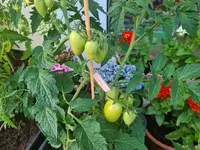 20220619_211133.jpg
