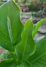 20220619_214934.webp