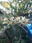 IMG_20220615_181214.jpg