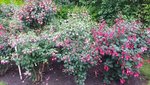20220619_145138.jpg