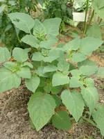 IMG_20220620_133605.webp