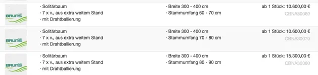 Catalpa bignonioides 'Nana'.jpeg