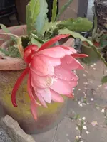 IMG_20220620_113909.webp