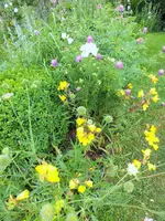 DSCF5224 (2).webp