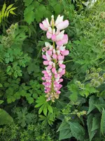 DSCF5226 (2).webp