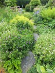 DSCF5228 (2).JPG