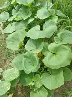 IMG_20220620_133921.webp