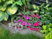 20220620_211343.webp
