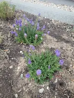20220620_211727.webp
