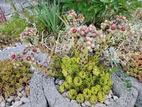20220620_211705.webp