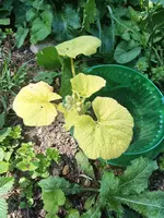 IMG_20220621_160219.webp