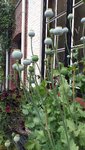20220621_134819.jpg