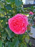 IMG_20220621_153523.jpg