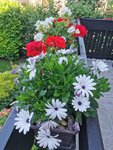 IMG_20220621_170800.jpg