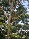 07055233-E896-4DEB-B829-4BB6C700B349.jpeg