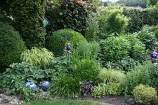 Juni      2322.webp