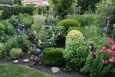 Juni      2422.webp