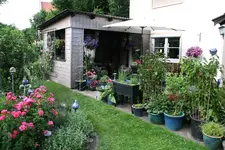 Juni      2622.webp