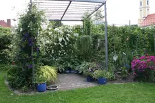 Juni      2722.webp