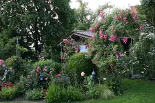 Juni      2922.webp