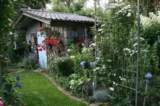 Juni      3122.webp