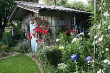 Juni      3222.webp