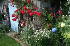 Juni      3422.webp