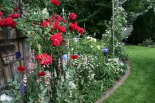 Juni      3722.webp