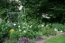 Juni      3922.webp