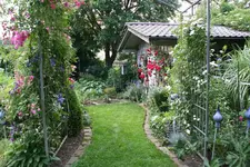 Juni      4122.webp