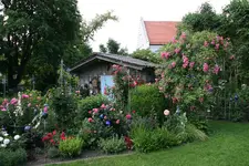 Juni      4222.webp