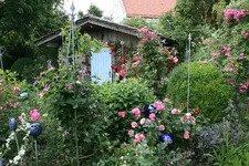 Juni      4922.webp