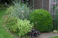 Juni      5122.webp