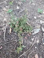 20220620_211938.webp