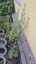 20220620_211845.webp