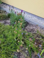 20220620_211808.webp
