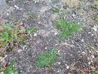 20220620_211740.webp
