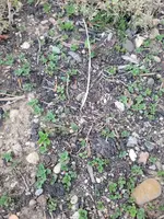 20220620_211732.webp