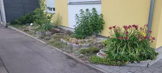 20220620_211644.webp