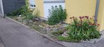20220620_211644.jpg