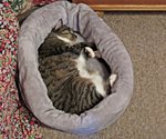 IMG_8133 v (2).JPG