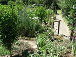 IMG_7684.JPG