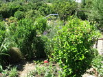 IMG_7686.JPG