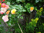 DSC02523.JPG
