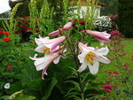 DSC02522.JPG
