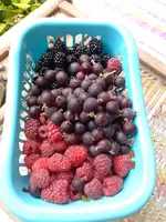 IMG_20220622_091006.webp