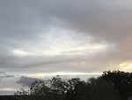 80F28462-7839-46B9-B682-A47BE0252BE6.jpeg
