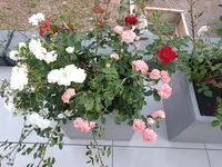 20220622_215811.webp
