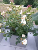 20220622_215830.webp